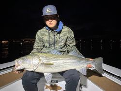 A striped bass caught while fishing in ME