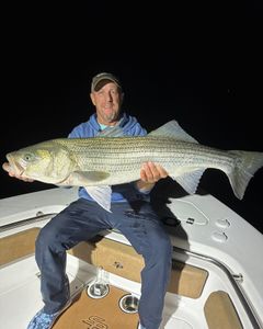 Striped bass caught while fishing in ME