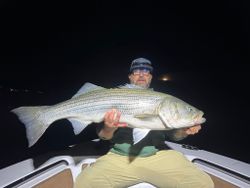 Striped bass caught by angler in Wells