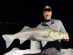 Striped bass caught while fishing in Wells