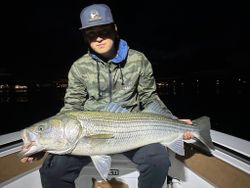 Striped bass caught while fishing in Wells