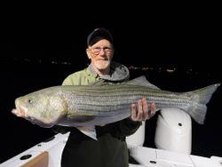 Striped bass caught while fishing in Wells