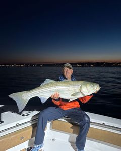 Striped bass caught by angler in Wells
