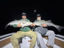 Two striped bass caught while fishing in Wells