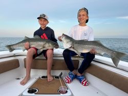 Two striped bass caught in Maine