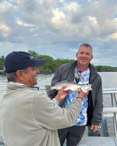 Trout Fishing Delights In Louisiana