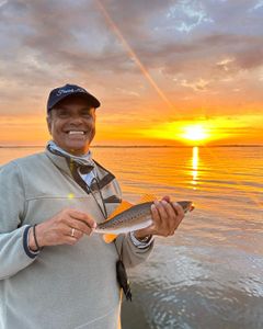 New Orleans Abundant Fish!