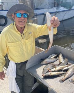4 blue catfish and spotted weakfish caught while fishing in New Orleans