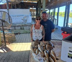 Fresh caught fish displayed on cleaning table at New Orleans fishing dock