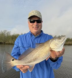 Redfish caught while fishing in New Orleans Louisiana