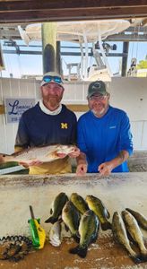 Fishing catch of redfish and speckled trout displayed on cleaning station in New Orleans Louisiana