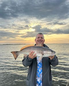 Redfish caught in New Orleans