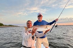 Redfish caught while fishing in New Orleans