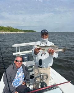 Spotted weakfish caught in LA