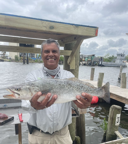 Spotted Weakfish caught while fishing in New Orleans