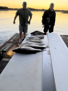 2 hardhead sea catfish caught while fishing in TX