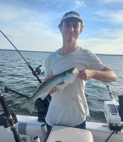 Angler with a striped bass in TX