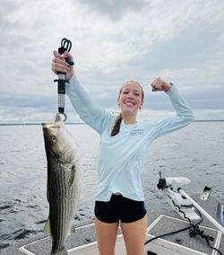 Striped bass caught while fishing in TX