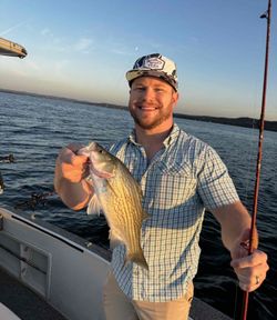 Striped bass caught while fishing in Tow