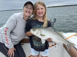 Striped bass fish caught in Tow