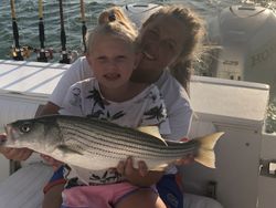 Wiper (hybrid striped bass) fish caught in Tow