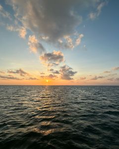 Fishing in Brownsville