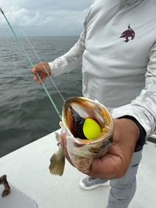 Fishing in TX
