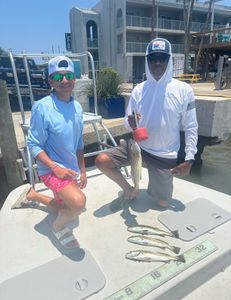 4 fishing in brownsville