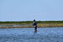 Fishing in Brownsville