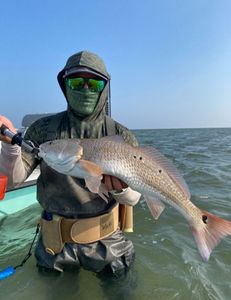 Redfish caught in Brownsville