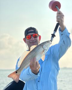 Redfish caught while fishing in TX