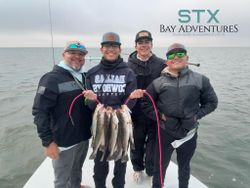Two spotted weakfish, 12 inches long, caught while fishing in Brownsville
