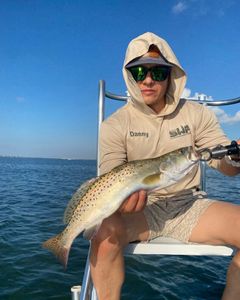 Spotted Weakfish, 16 inches, fishing, Brownsville