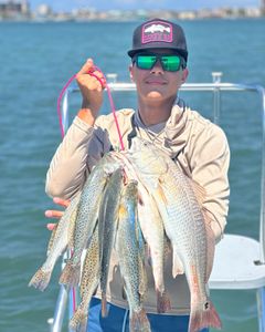 Three redfish and spotted weakfish caught in Brownsville