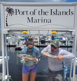 Big speckled trout at the marina!