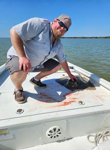 Impressive stingray catch!
