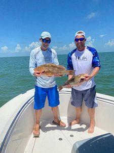 Two anglers with large fish in Naples