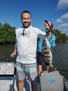 A lone black drum fish caught while fishing in Naples
