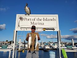 Cero Mackerel, a pair of big fish caught in FL