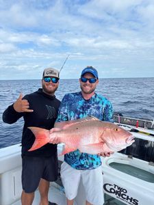 Mutton snapper being caught while fishing in FL
