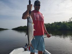 Impressive tarpon fish caught while fishing in FL