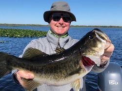 Another day, another big bass!