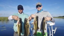 Feeling on top of the world with this bass catch