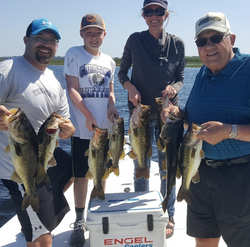 5 Largemouth Bass fishing in FL