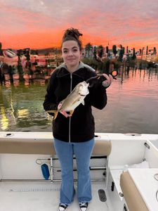 Crevalle jack caught while fishing in Port Orange FL at sunset