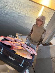 Fresh caught Lane Snapper displayed on boat dock at sunset in Port Orange FL