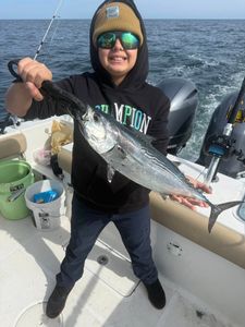 Little Tunny caught fishing in Port Orange FL waters