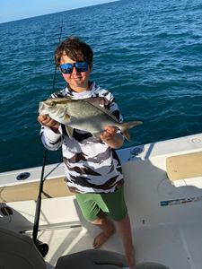 Longfin yellowtail catch displayed on fishing boat in Port Orange FL