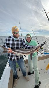 Cobia catch displayed on fishing boat in Port Orange FL