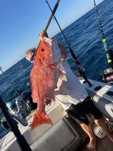 Red snapper caught on fishing boat in Port Orange FL